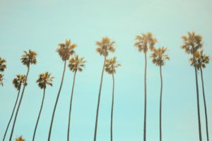 best areas to move to in san diego